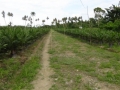 DSC00340