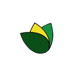 LOGO-STN